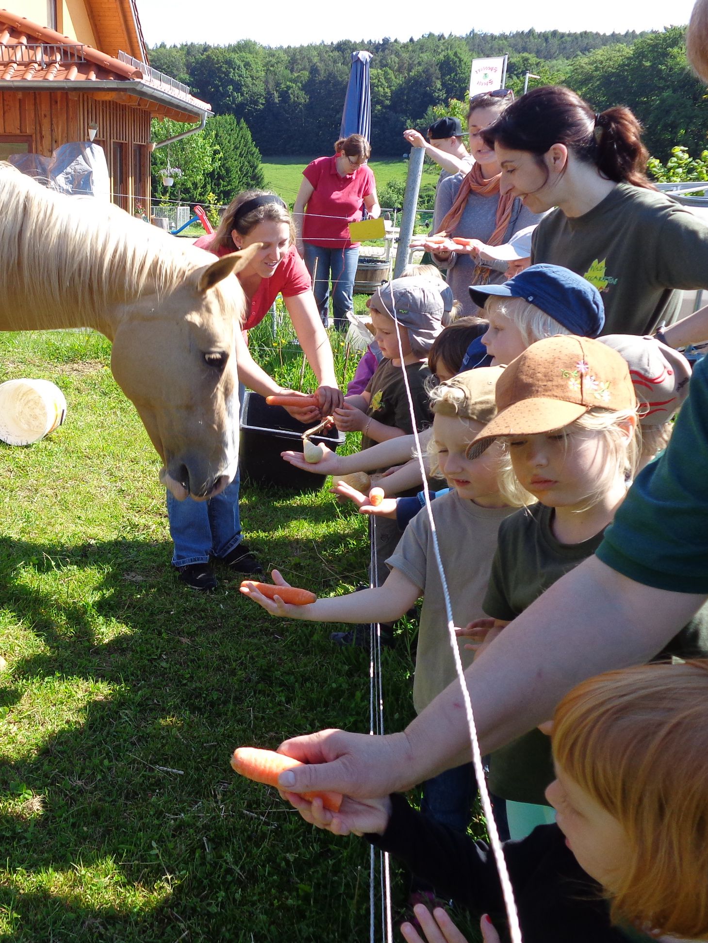 alzenau kindergarten