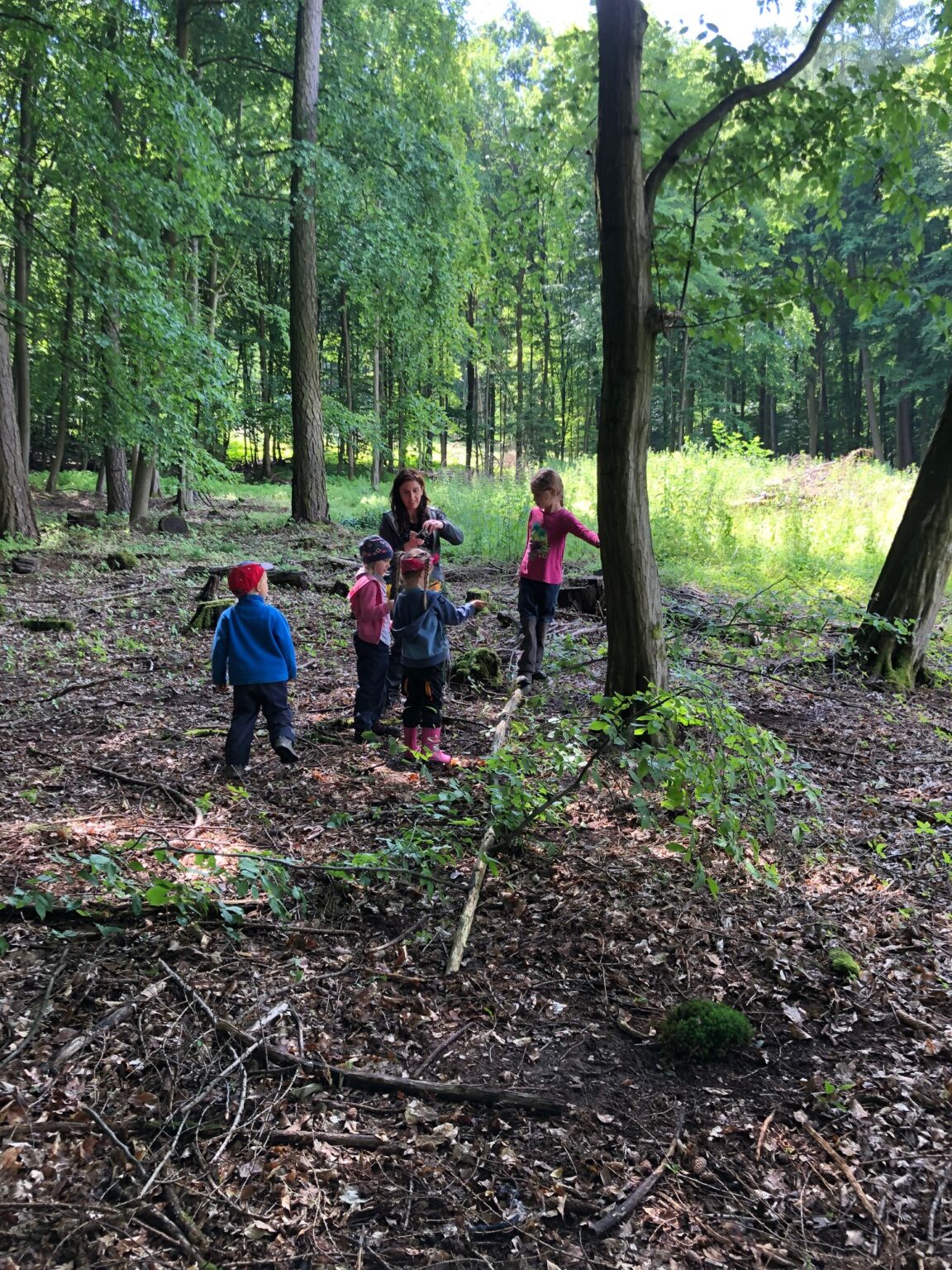alzenau kindergarten