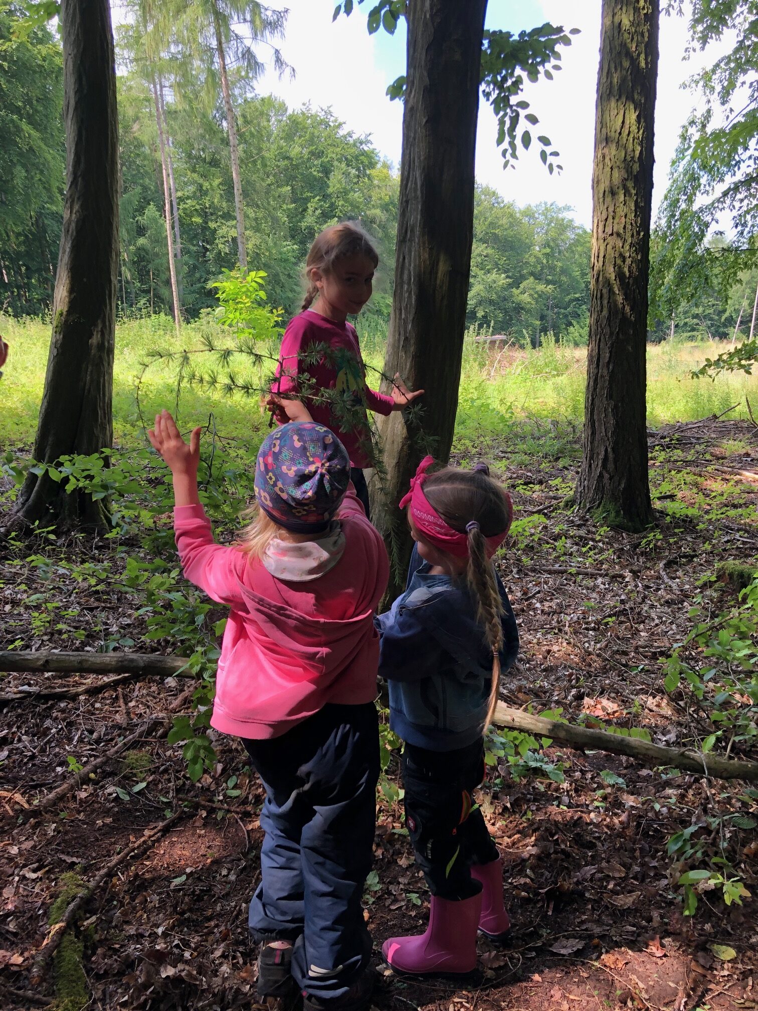 alzenau kindergarten
