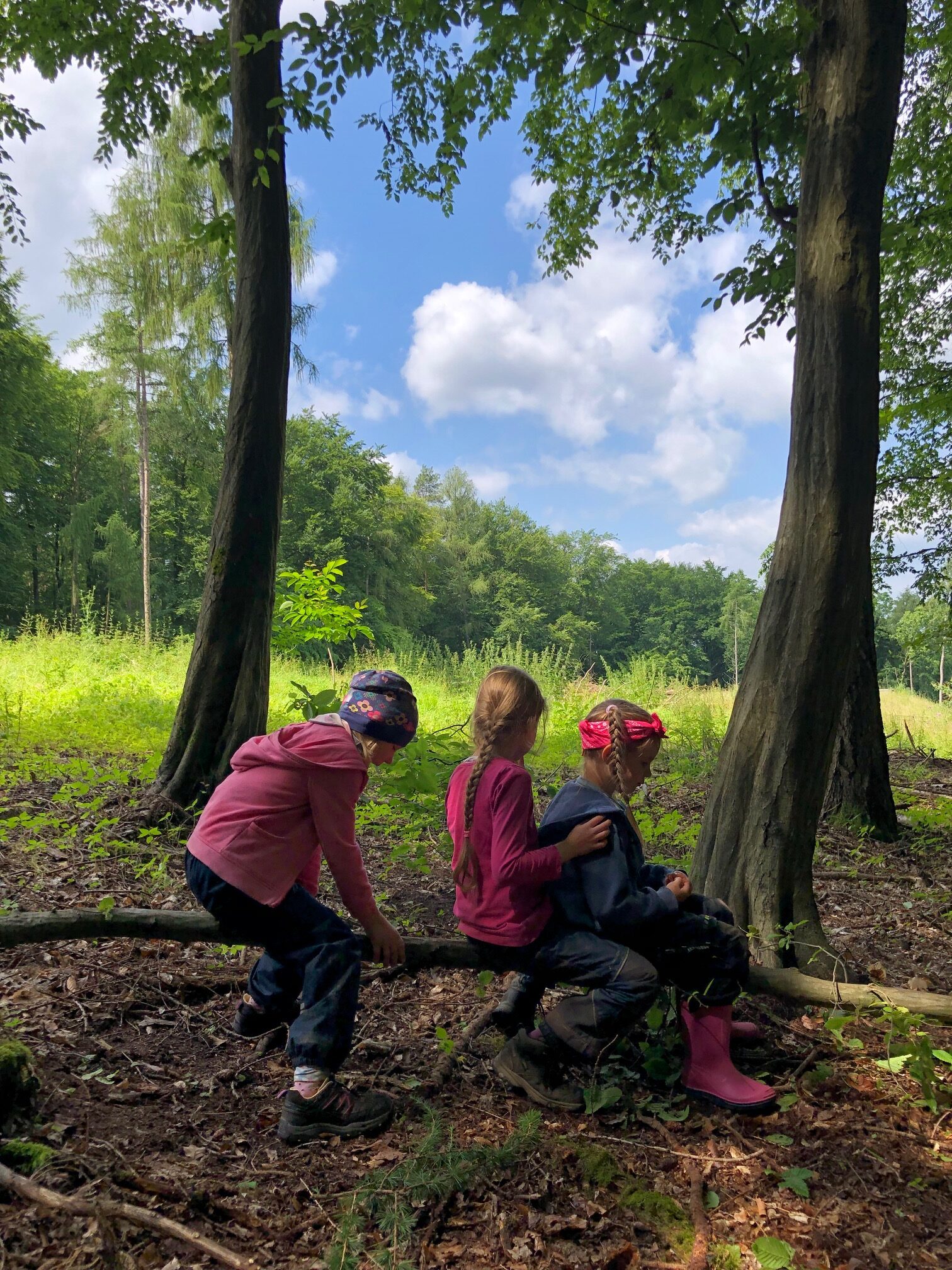 alzenau kindergarten